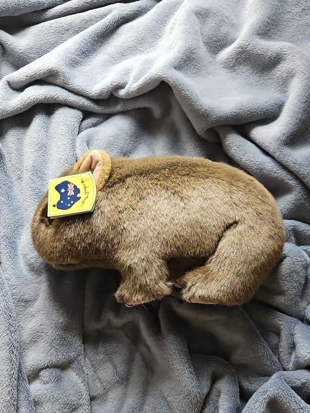 Brown Plush Wombat Toy - Soft Small Pet Plush